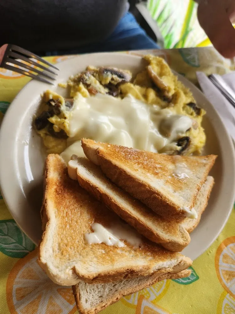Mushroom and Cheese Omelet